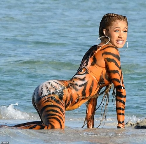 Cardi B twerks on Miami beach in tiger costume 12032018 (3)