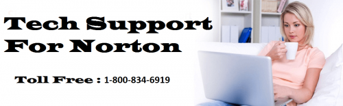 setupnorton.site.png