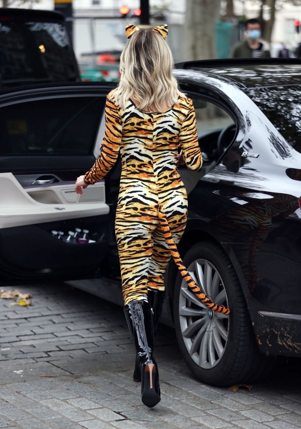 Ashley-Roberts-Stunning-in-Tiger-Catsuit-4.jpg