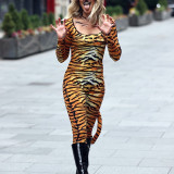 Ashley-Roberts-Stunning-in-Tiger-Catsuit-6