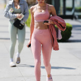 Chantel-Jeffries-cameltoe-in-pink-yoga-pants-2