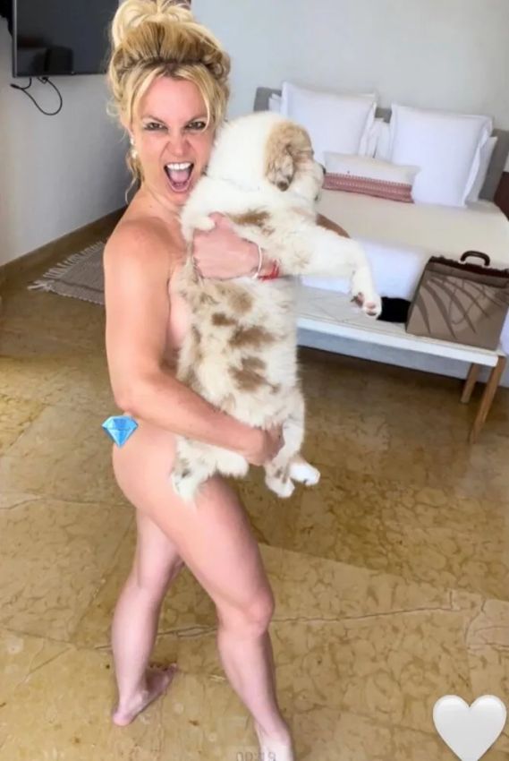 Naked-Britney-Spears-Gallery-3.jpg